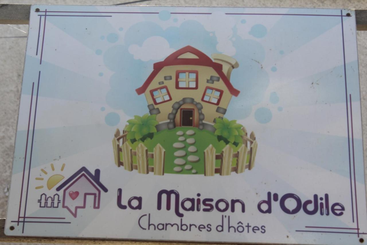 La Maison D'Odile Beaujeu-Saint-Vallier-et-Pierrejux Екстер'єр фото